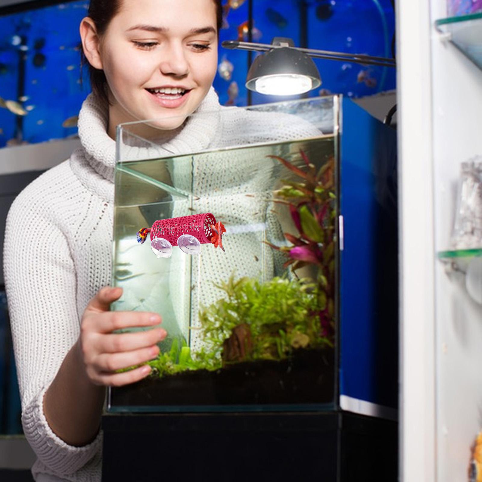 Aquarium Fish Betta - Betta-Habitat, Ruheplatz, Ornament, Fischtunnel, Spielzeug für