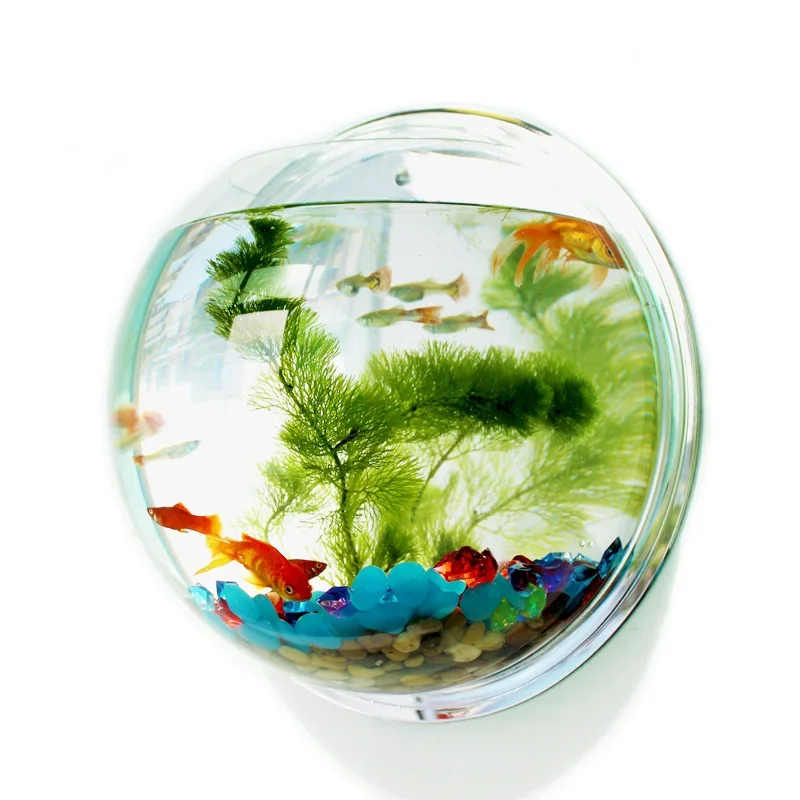 Betta Fish Tank - Pinsjar Acryl Fischschale Wandbehang Aquarium Tank