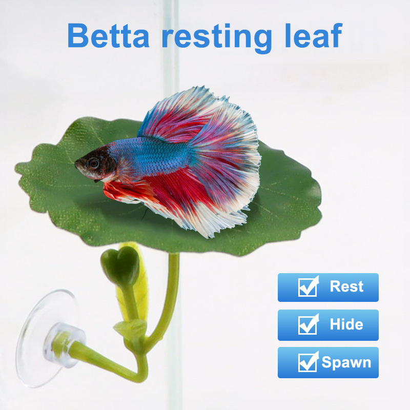 Aquarium Fish Betta - (Ce14)1/5PC Grüne Blatt-Hängematte für Betta-Fische, stressreduzierende,