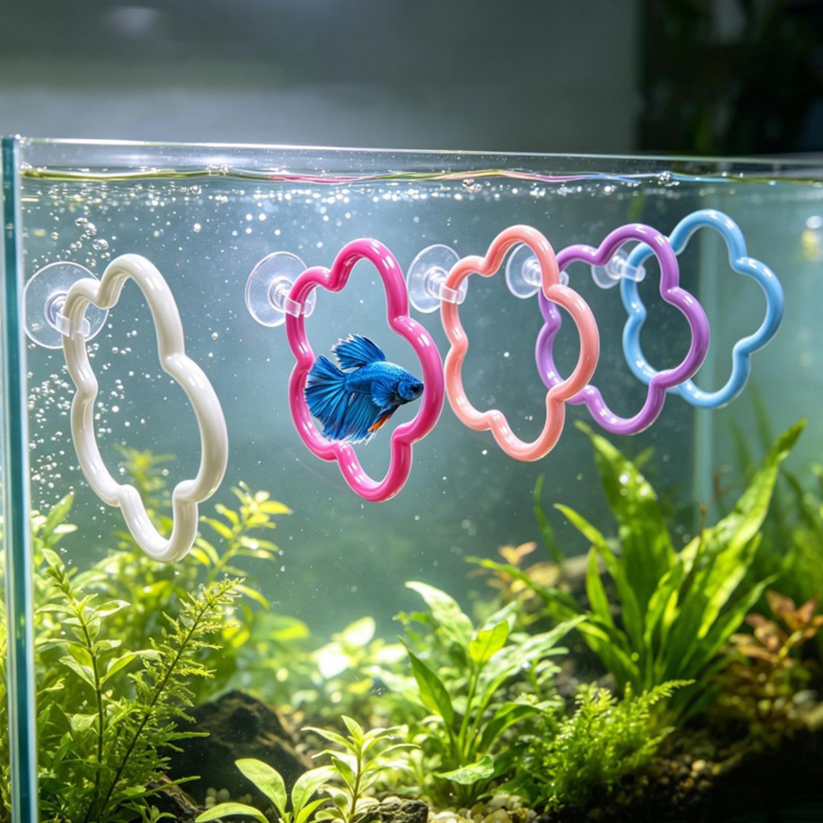 Aquarium Fish Betta - Betta-Fisch-Spielzeug, 5 Stück, bunte Saugnäpfe, Aquarium-Zubehör,