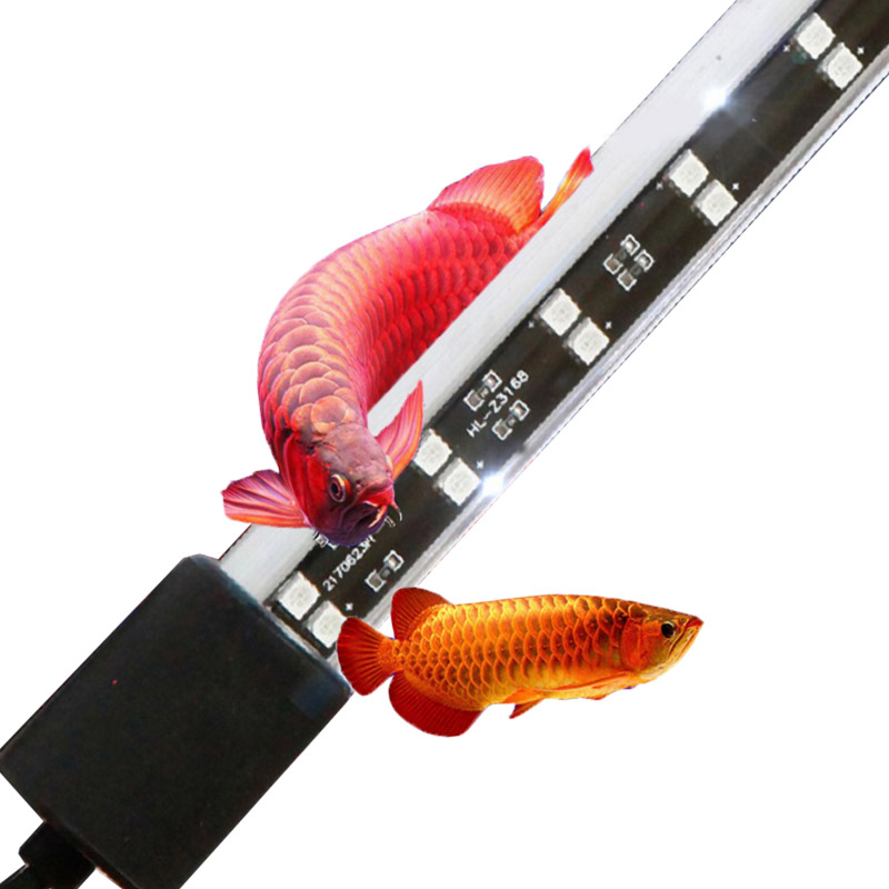 72cm 20 Watt Rote Arowana-Aqua – Aquarium Fish Keeping Bewertung und Preis
