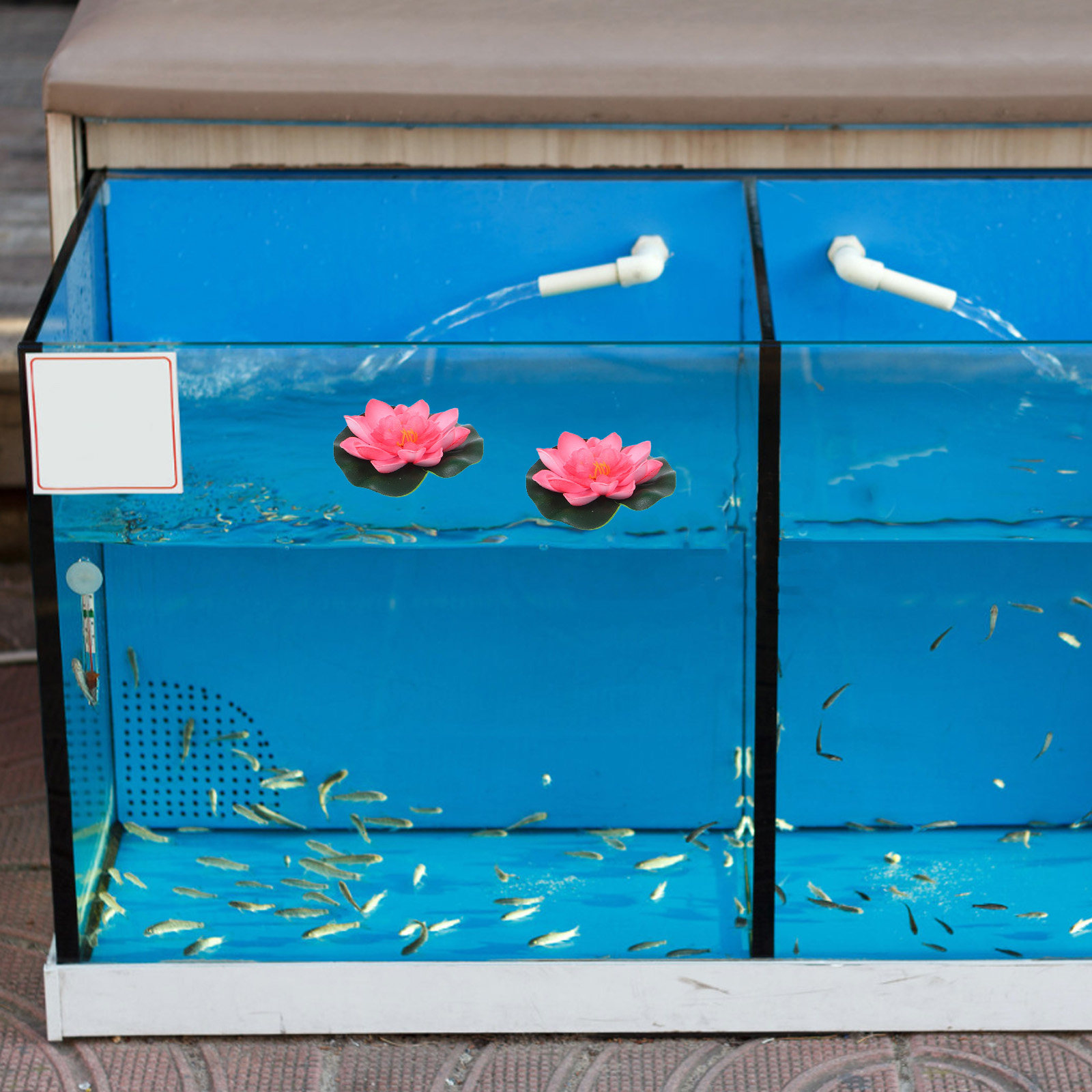 12 Stück künstliche schwimmend – Aquarium Decor Bewertung und Preis