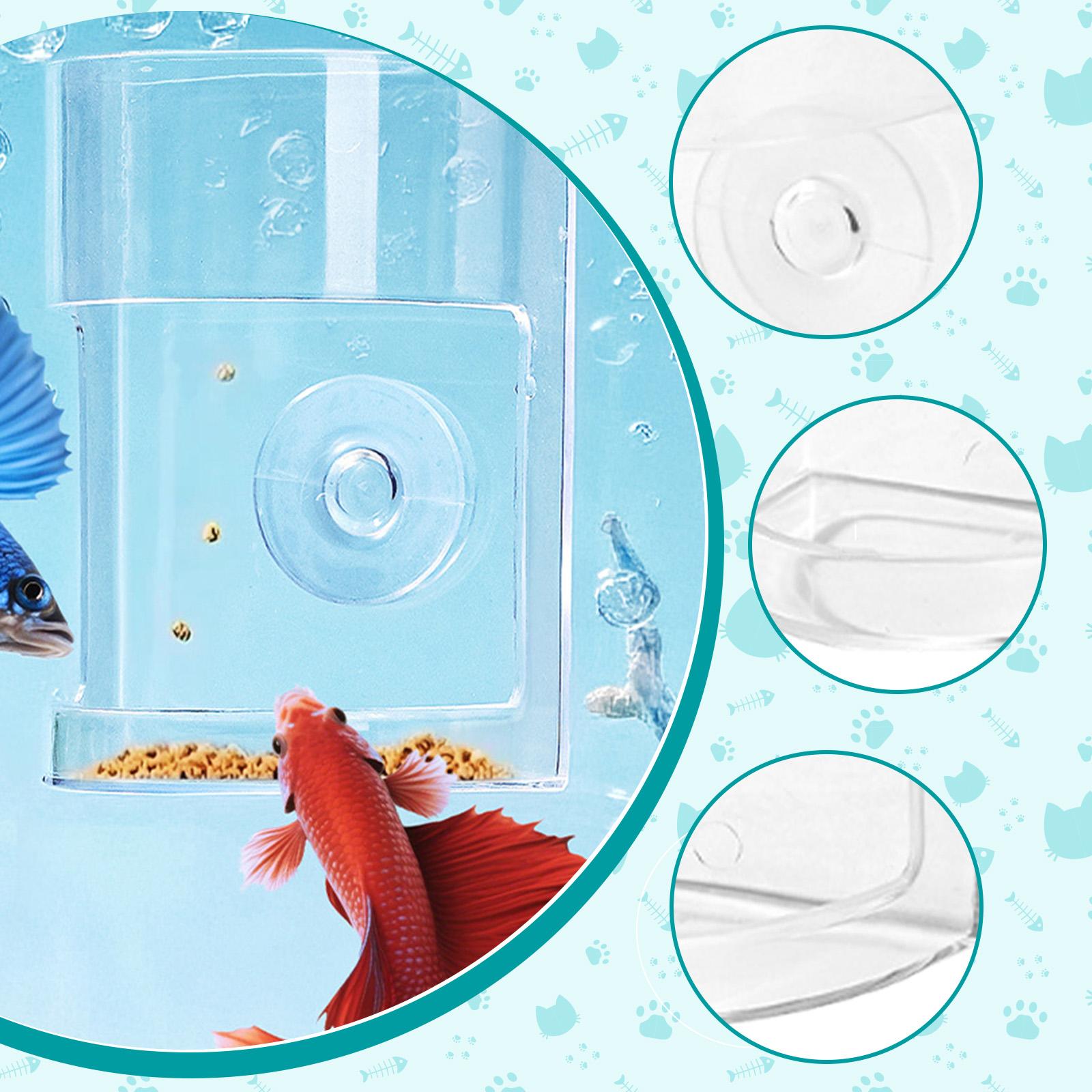 Fischfutter-Spender aus klarem – Aquarium Fish Keeping Bewertung und Preis