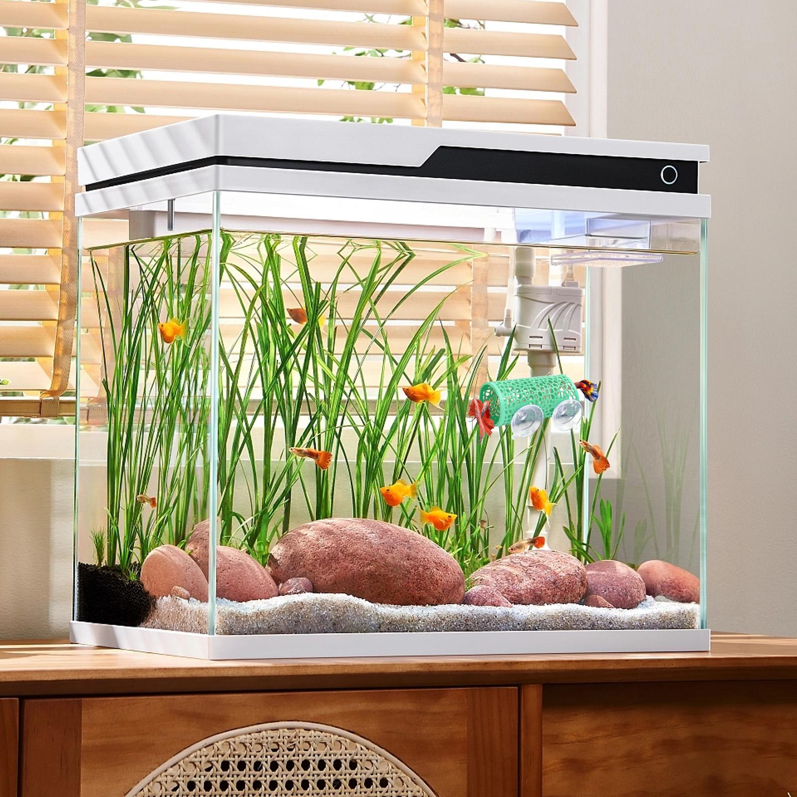 Betta-Habitat, Ruheplatz, Orna – Aquarium Fish Betta Bewertung und Preis