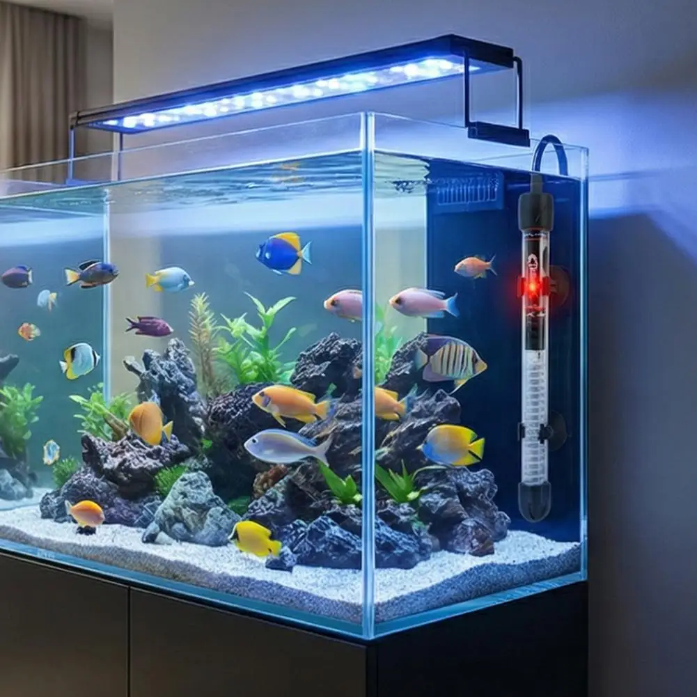 Einstellbarer Aquariumheizer 2 – Fish Tank Heater Bewertung und Preis