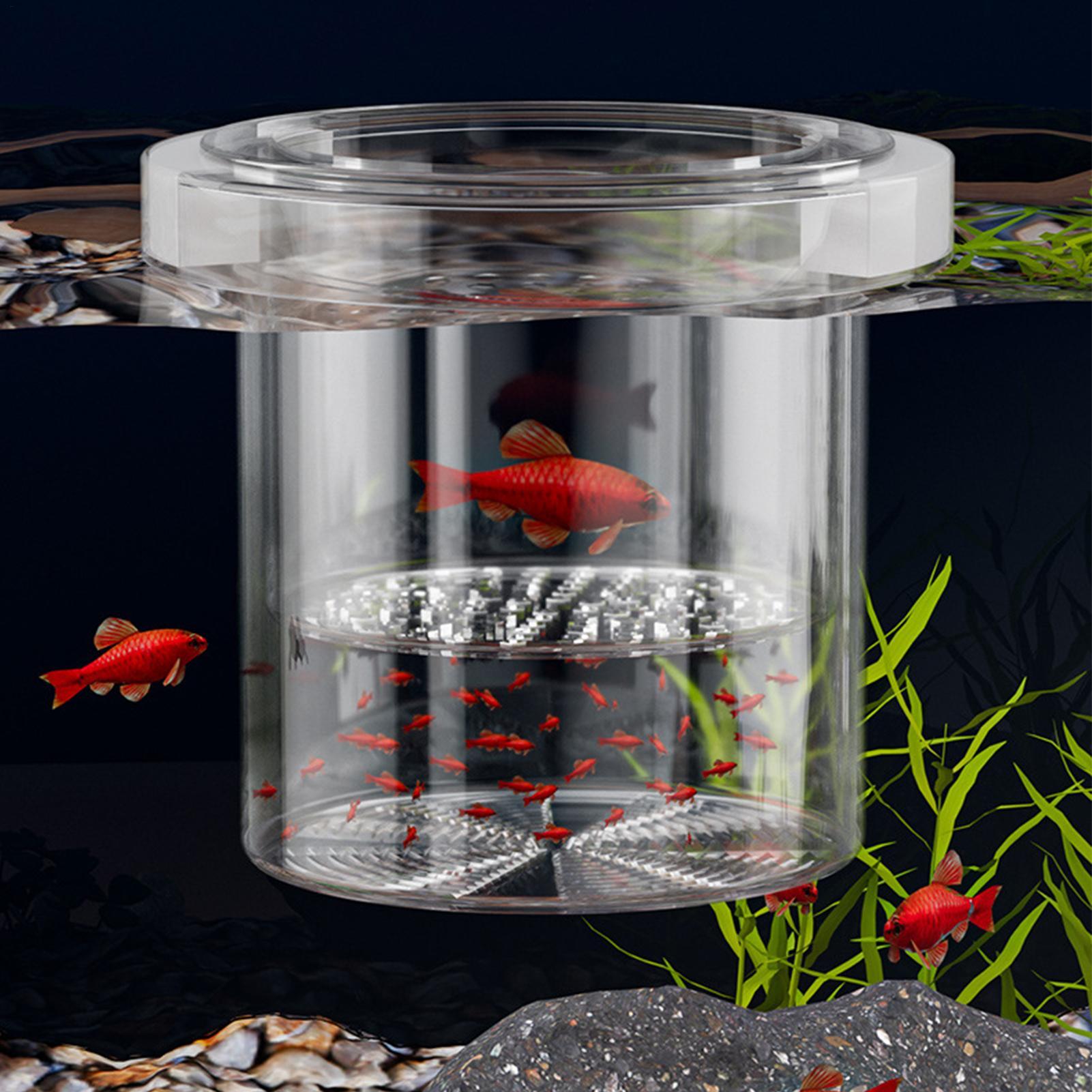 Robuste Fischzuchtbox, Isolati – Betta Fish Tank Bewertung und Preis