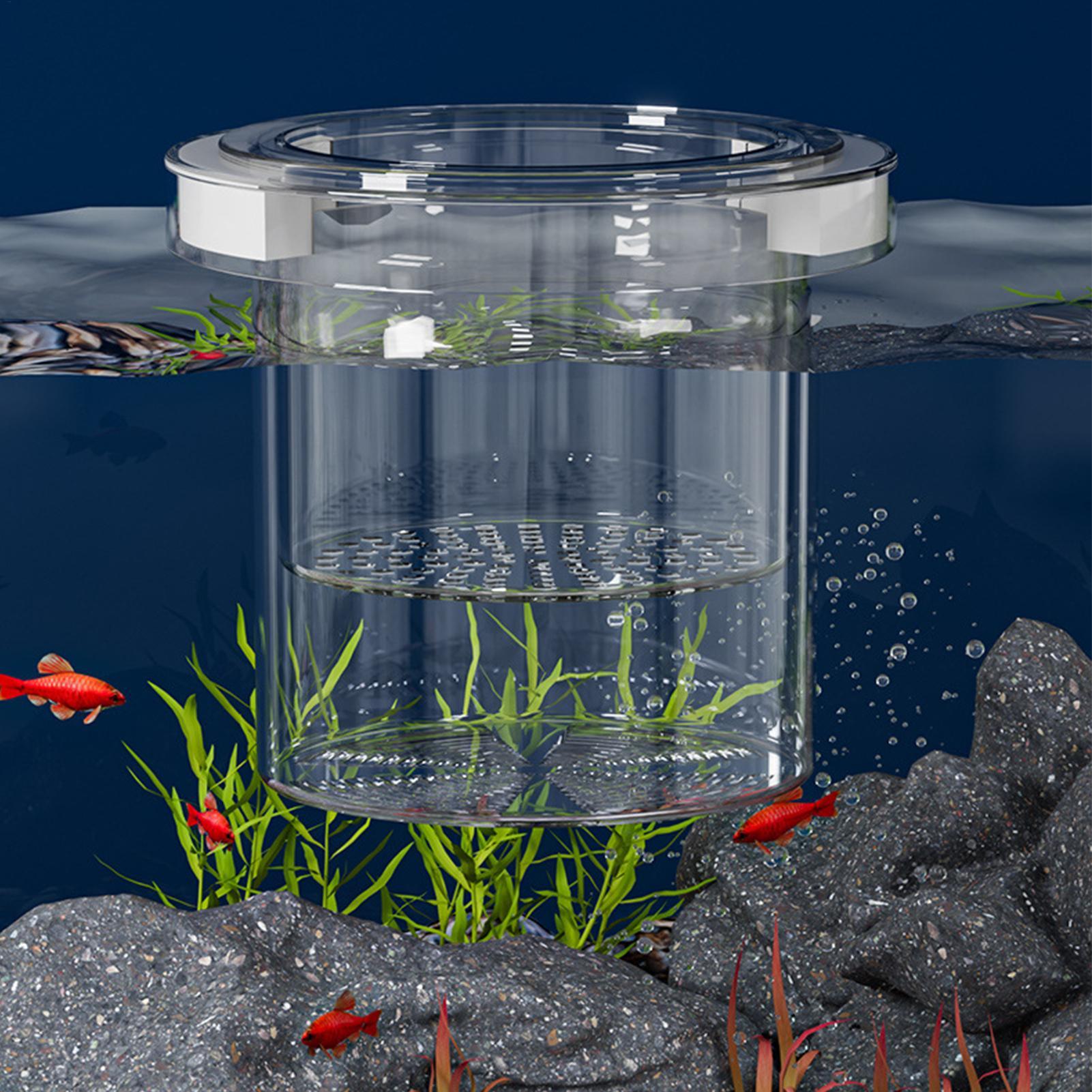 Schwimmende Fischzucht-Isolier – Aquarium Fish Betta Bewertung und Preis