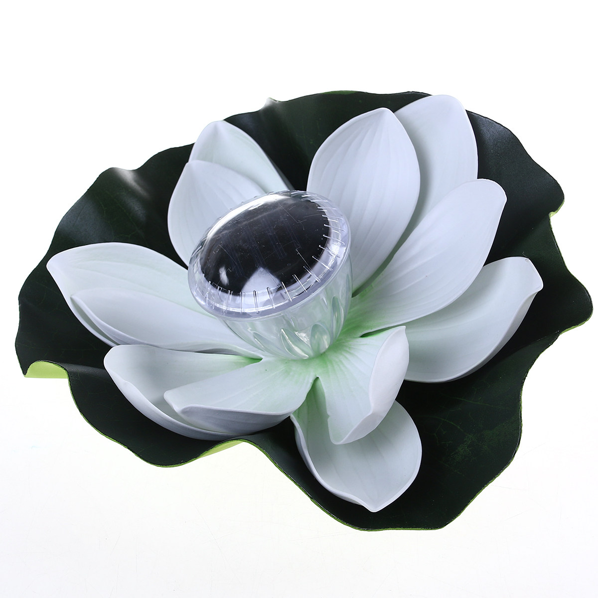 Fischteich-Lichtdekoration für – Aquarium Decor Bewertung und Preis