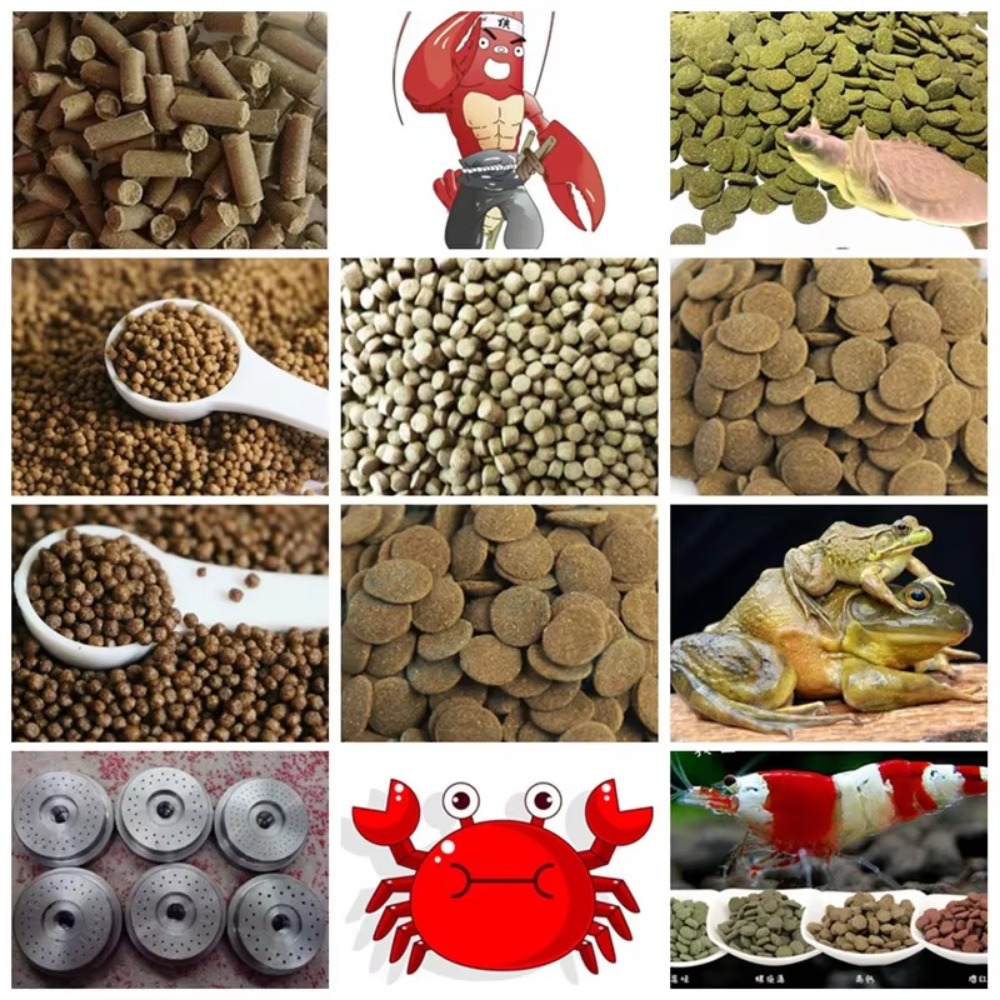 Schwimmende Fischfutter-Pellet – Fish Food Bewertung und Preis