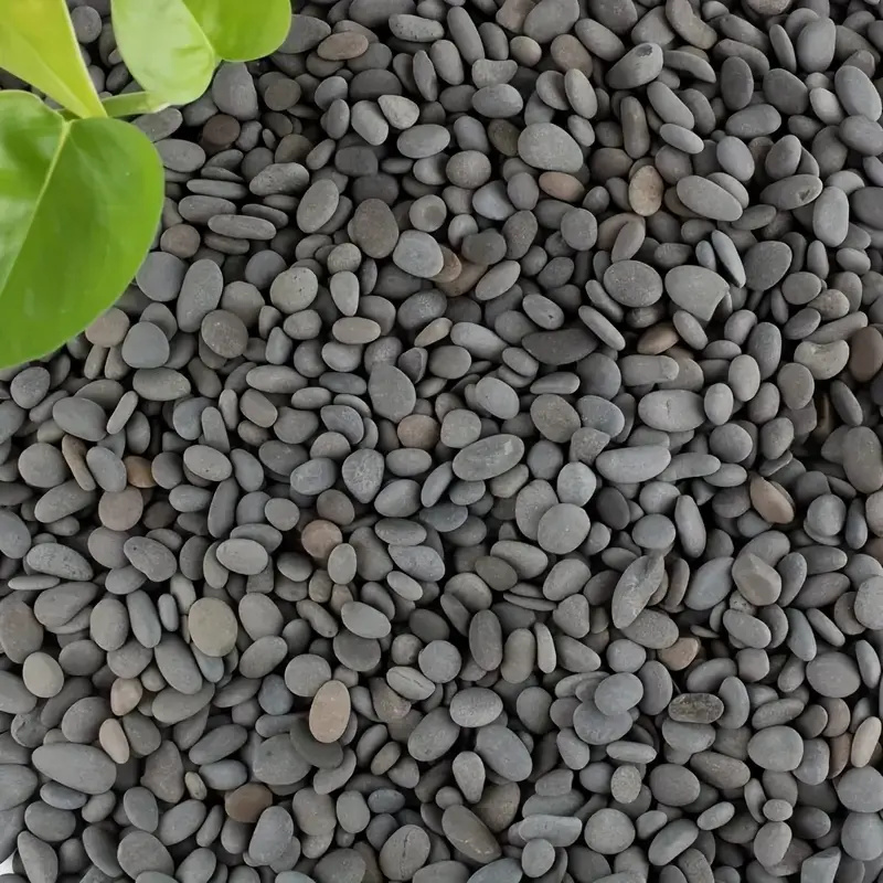 20 Stück natürliche Flussfelse – Fish Tank Gravel Bewertung und Preis
