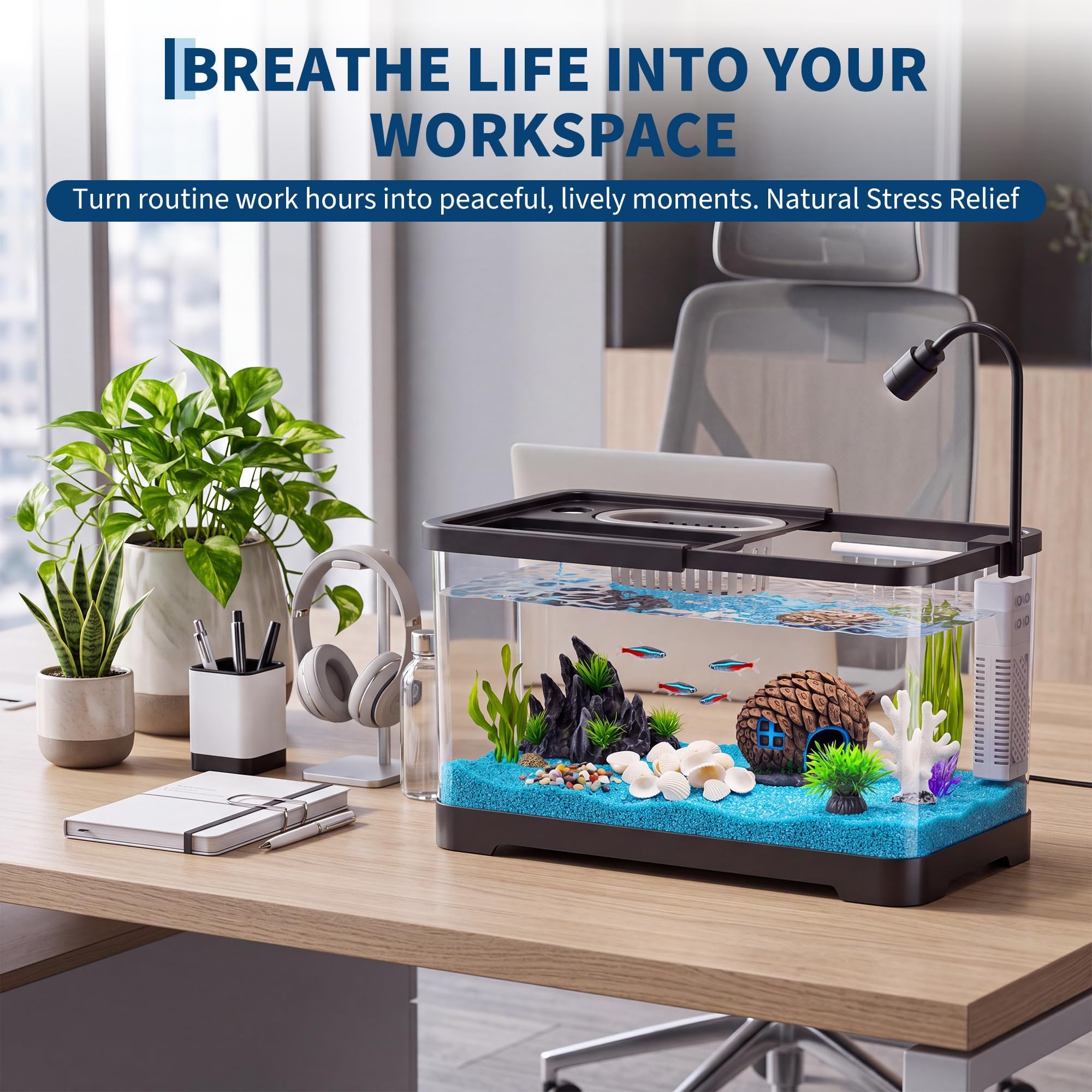 Aquarium-Starter-Set mit Filte – Aquarium Fish Betta Bewertung und Preis
