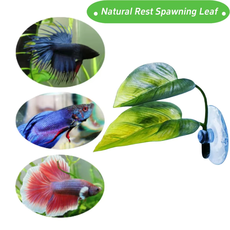 Aquarium-Zubehör Dekoration Kü – Aquarium Fish Betta Bewertung und Preis