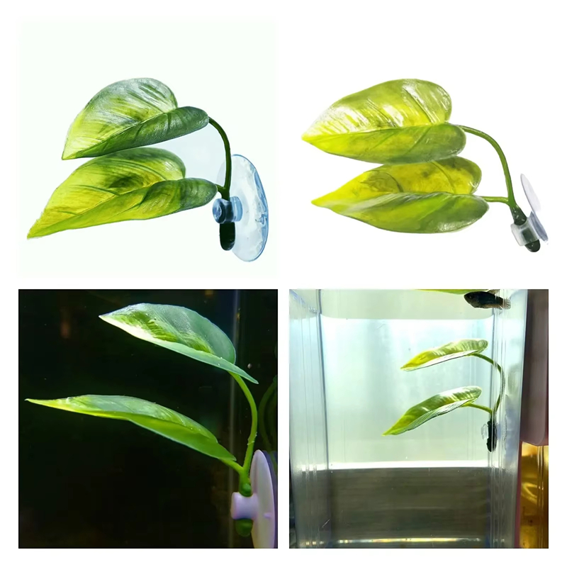 Aquarium-Zubehör Dekoration Kü – Aquarium Fish Betta Bewertung und Preis