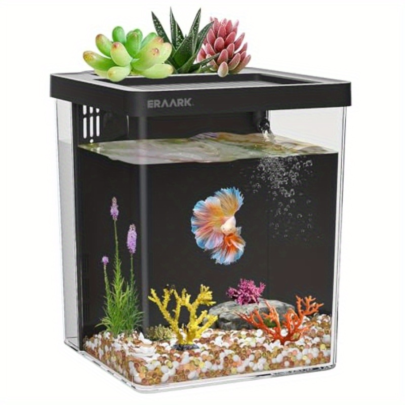 Büro-/Heim-Tischaquarium mit F – Aquarium Fish Keeping Bewertung und Preis