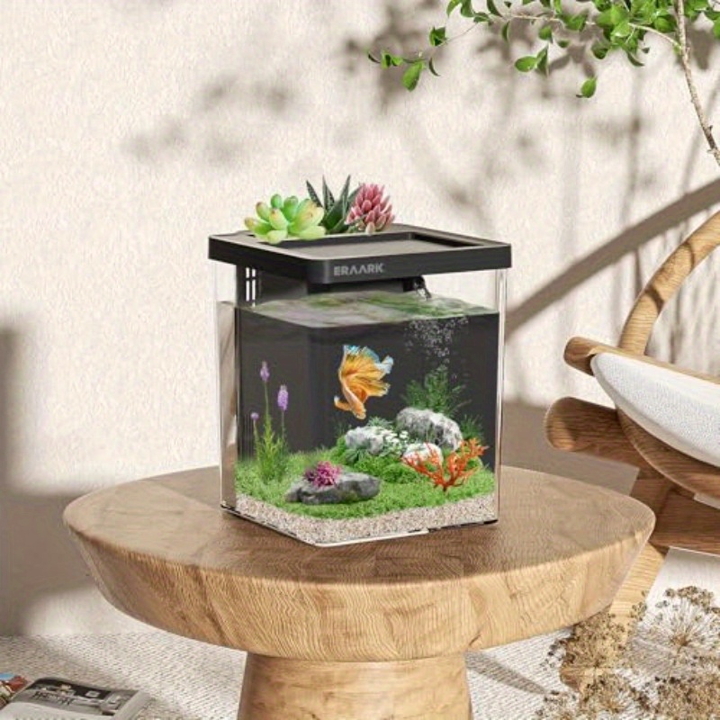 Büro-/Heim-Tischaquarium mit F – Aquarium Fish Keeping Bewertung und Preis