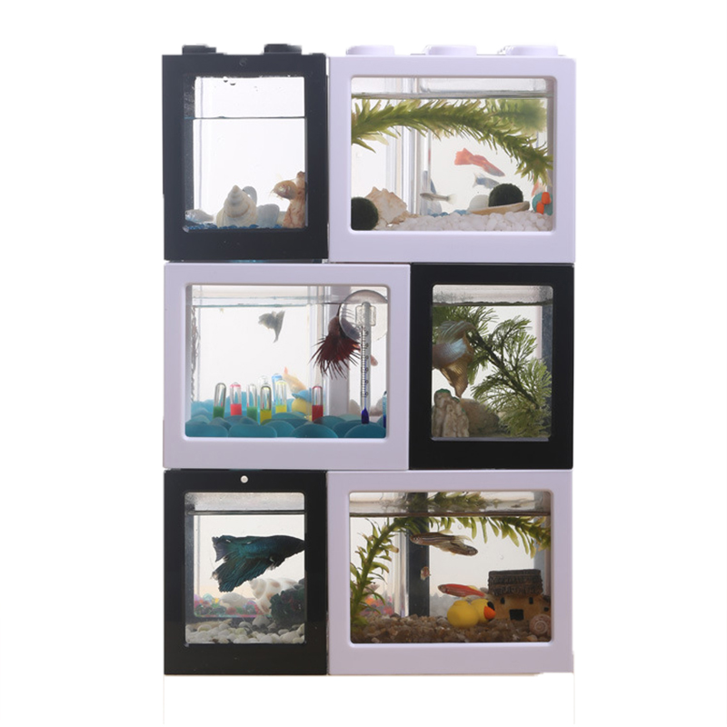 7-Farben-Mini-Aquarium für Bet – Betta Fish Tank Bewertung und Preis