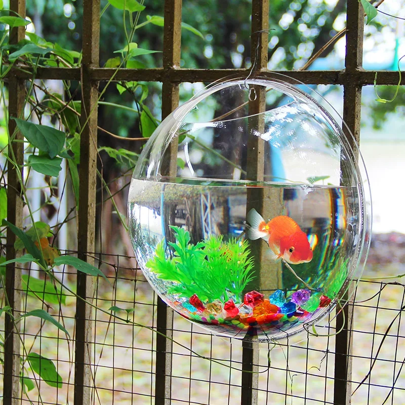 Pinsjar Acryl Fischschale Wand – Betta Fish Tank Bewertung und Preis