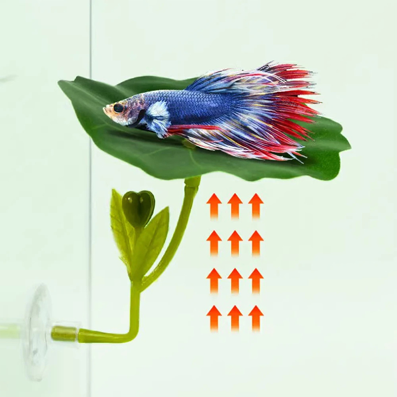 (Ce14)1/5PC Grüne Blatt-Hängem – Aquarium Fish Betta Bewertung und Preis