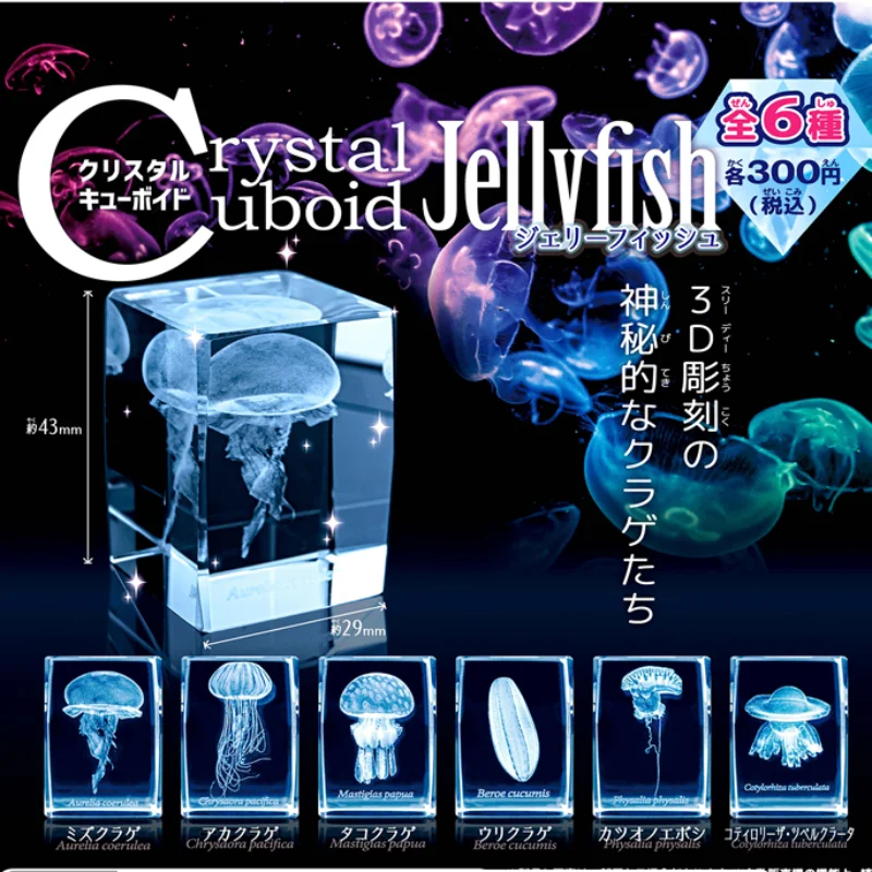 Japan Gashapon Quallen 3d Kris – Aquarium Fish Keeping Bewertung und Preis