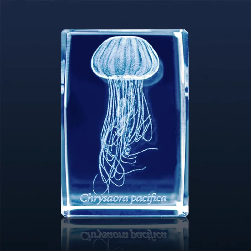 Japan Gashapon Quallen 3d Kris – Aquarium Fish Keeping Bewertung und Preis