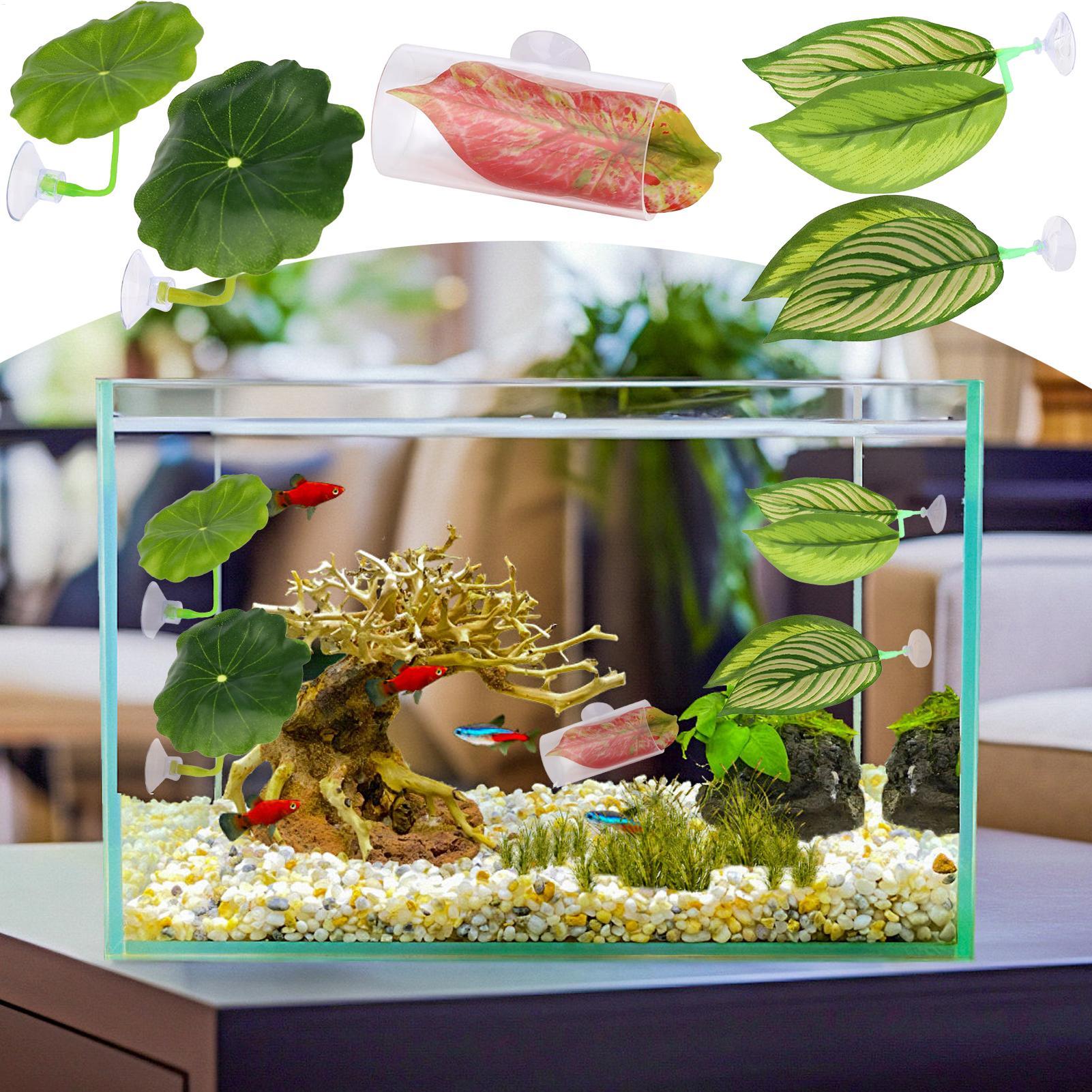 Betta-Fisch-Hängematte, 5-teil – Aquarium Fish Betta Bewertung und Preis