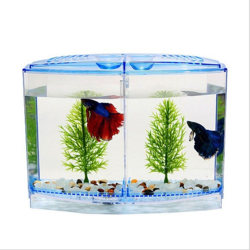 Transparentes Betta-Aquarium,  – Aquarium Fish Betta Bewertung und Preis