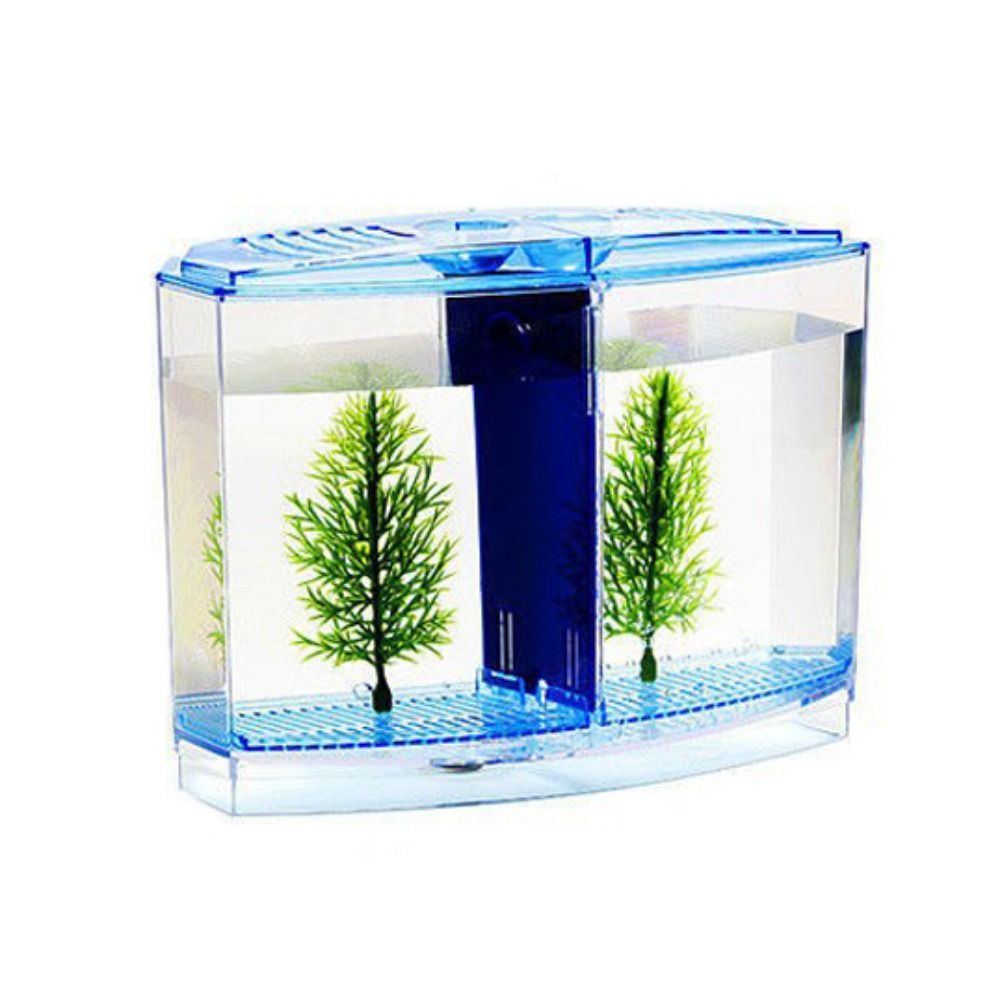 Transparentes Betta-Aquarium,  – Aquarium Fish Betta Bewertung und Preis