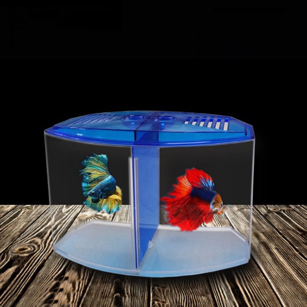 Transparentes Betta-Aquarium,  – Aquarium Fish Betta Bewertung und Preis