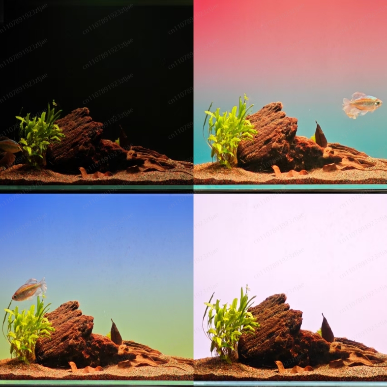 Schwarzes Acryl-Aquarium-Hinte – Aquarium Light Bewertung und Preis