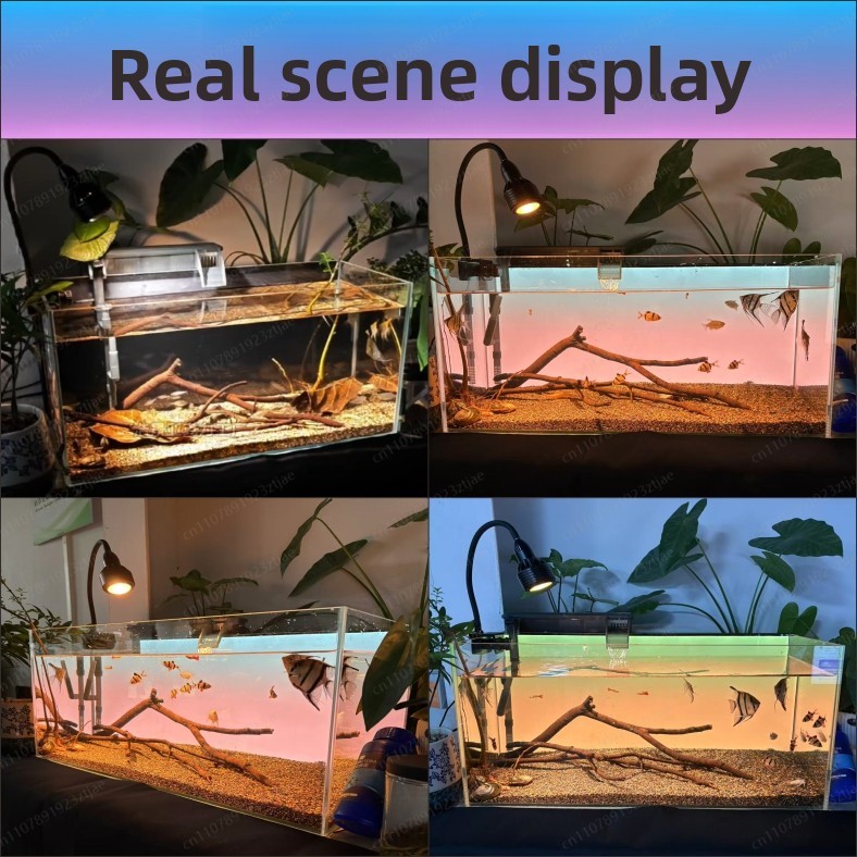 Schwarzes Acryl-Aquarium-Hinte – Aquarium Light Bewertung und Preis