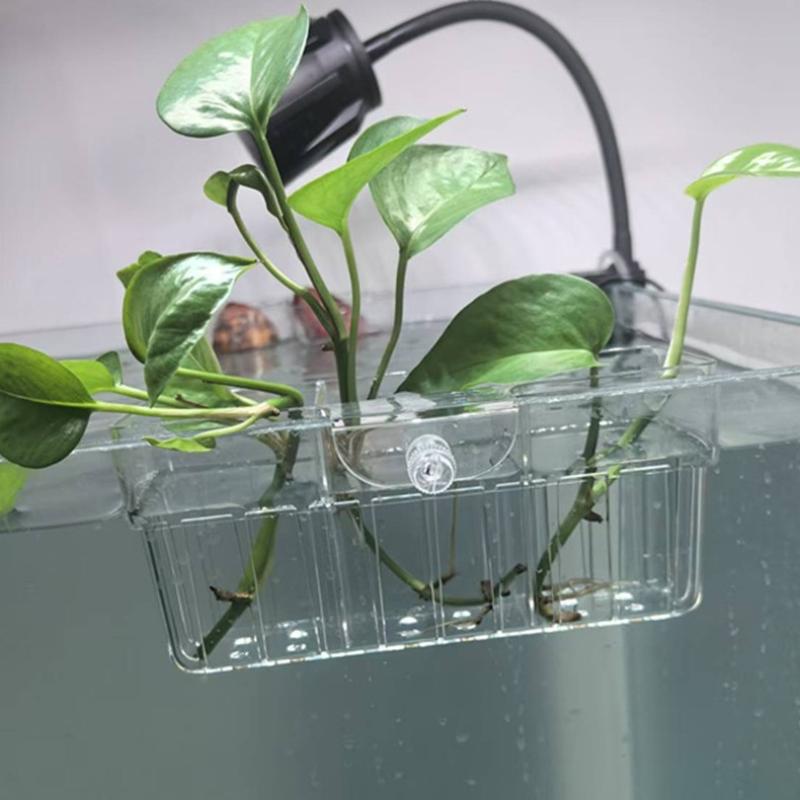 Hydroponischer Pflanzenkorb au – Aquarium Fish Tank Bewertung und Preis