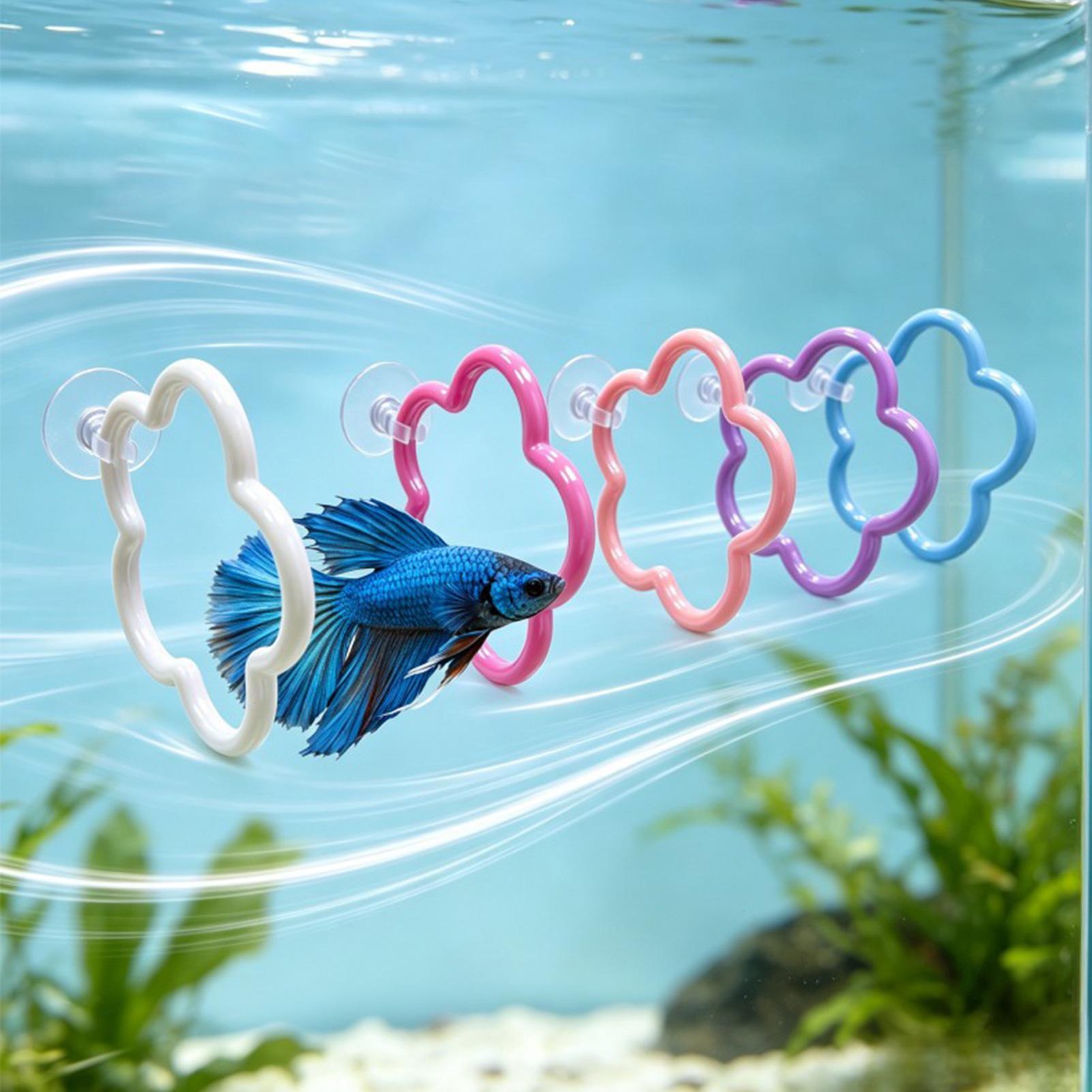 Betta-Fisch-Spielzeug, 5 Stück – Aquarium Fish Betta Bewertung und Preis