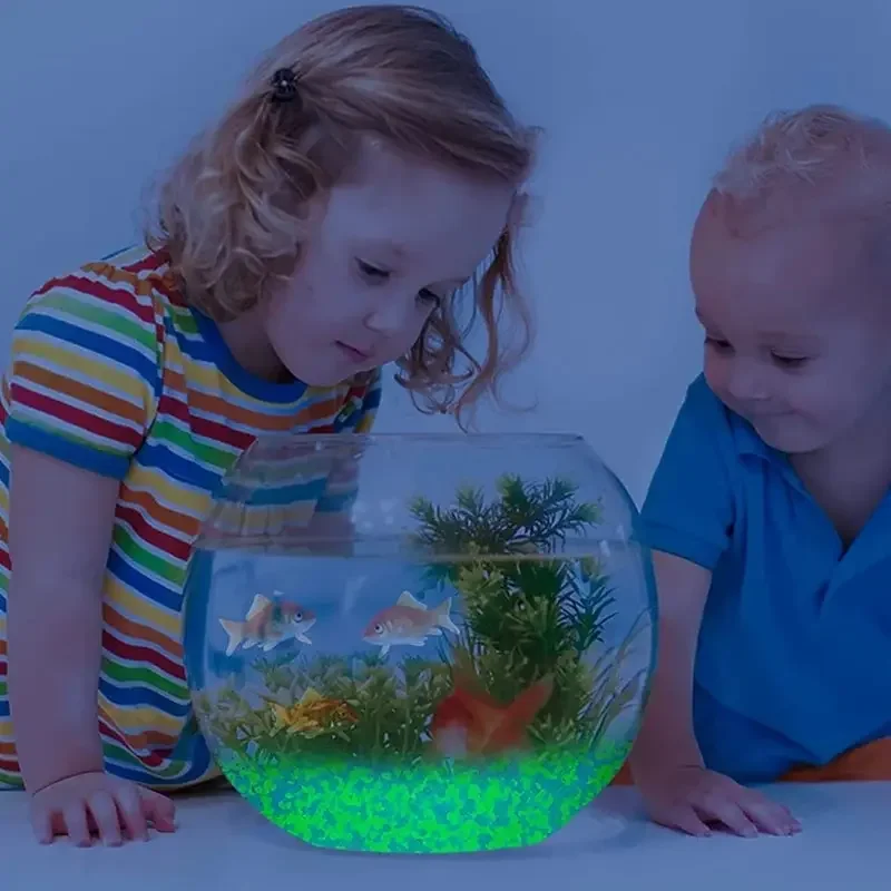 1000 Stück 3–5 mm leuchtender  – Fish Tank Gravel Bewertung und Preis