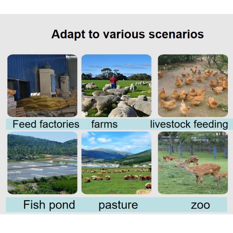 Hunde-, Katzen- und Fischfutte – Fish Food Bewertung und Preis