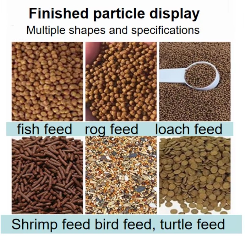 Hunde-, Katzen- und Fischfutte – Fish Food Bewertung und Preis