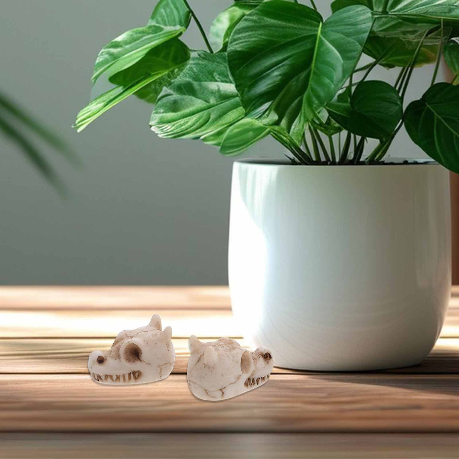 20 Stück Mini-Drachenschädel a – Aquarium Decor Bewertung und Preis
