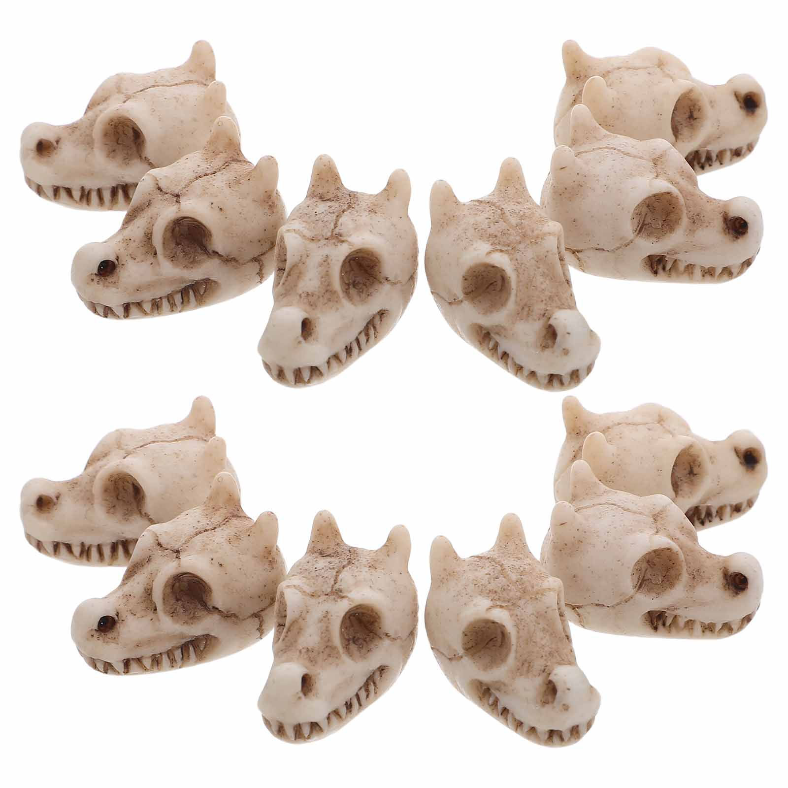 20 Stück Mini-Drachenschädel a – Aquarium Decor Bewertung und Preis