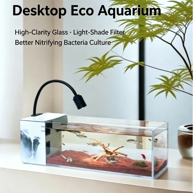 Hochwertiges Glas-Aquarium für – Aquarium Fish Keeping Bewertung und Preis