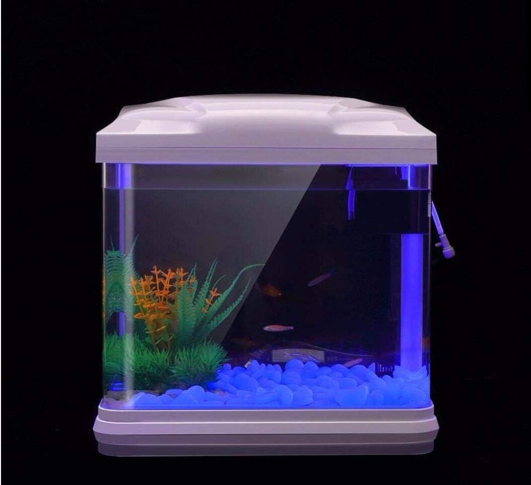 Aquarium-Felsen leuchten blaue – Fish Tank Gravel Bewertung und Preis
