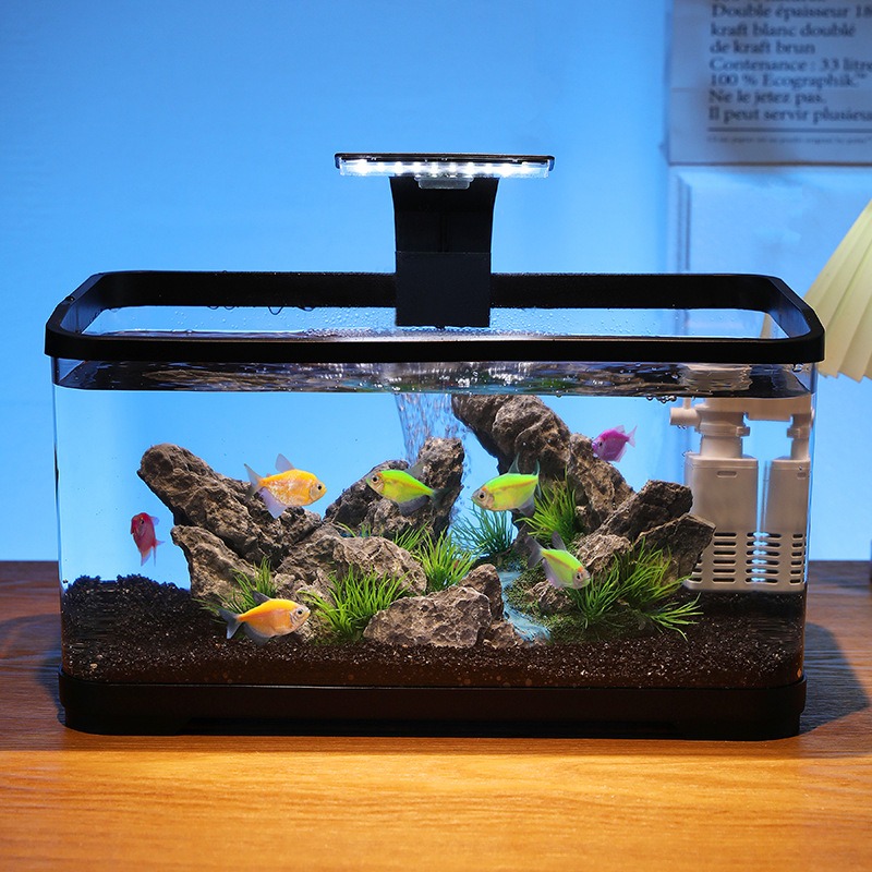 Desktop-Aquarium mit Zirkulati – Fish Aquarium Home Bewertung und Preis