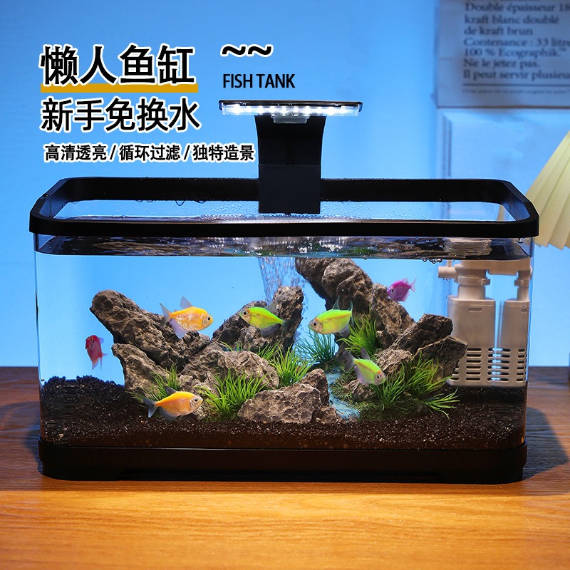 Desktop-Aquarium mit Zirkulati – Fish Aquarium Home Bewertung und Preis