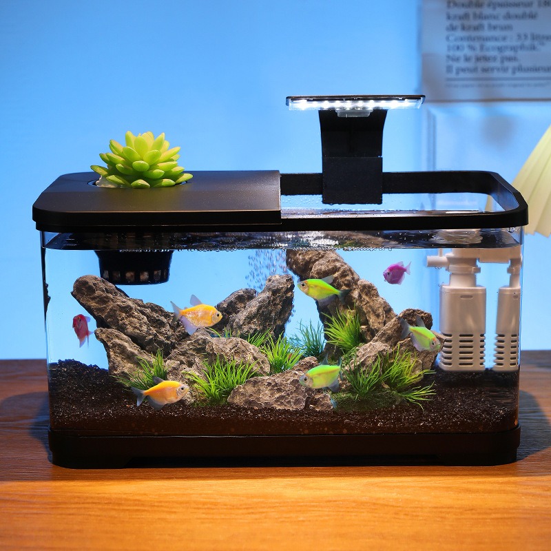 Desktop-Aquarium mit Zirkulati – Fish Aquarium Home Bewertung und Preis