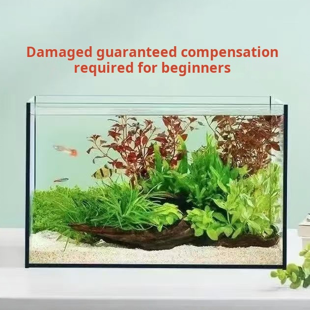 Ultraklares großes rechteckige – Aquarium Fish Keeping Bewertung und Preis