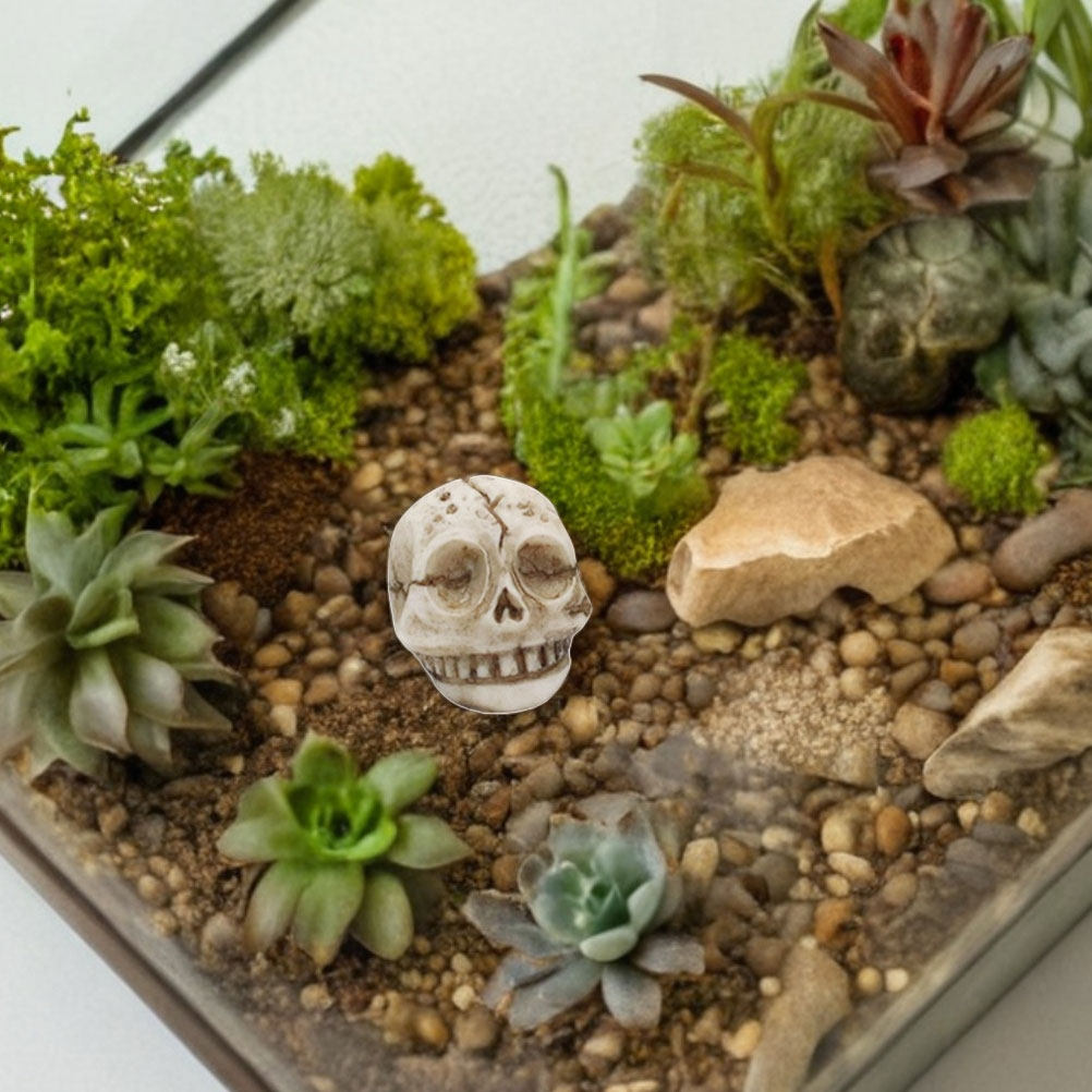 20 Stück Resin-Skulpturen in F – Aquarium Decor Bewertung und Preis