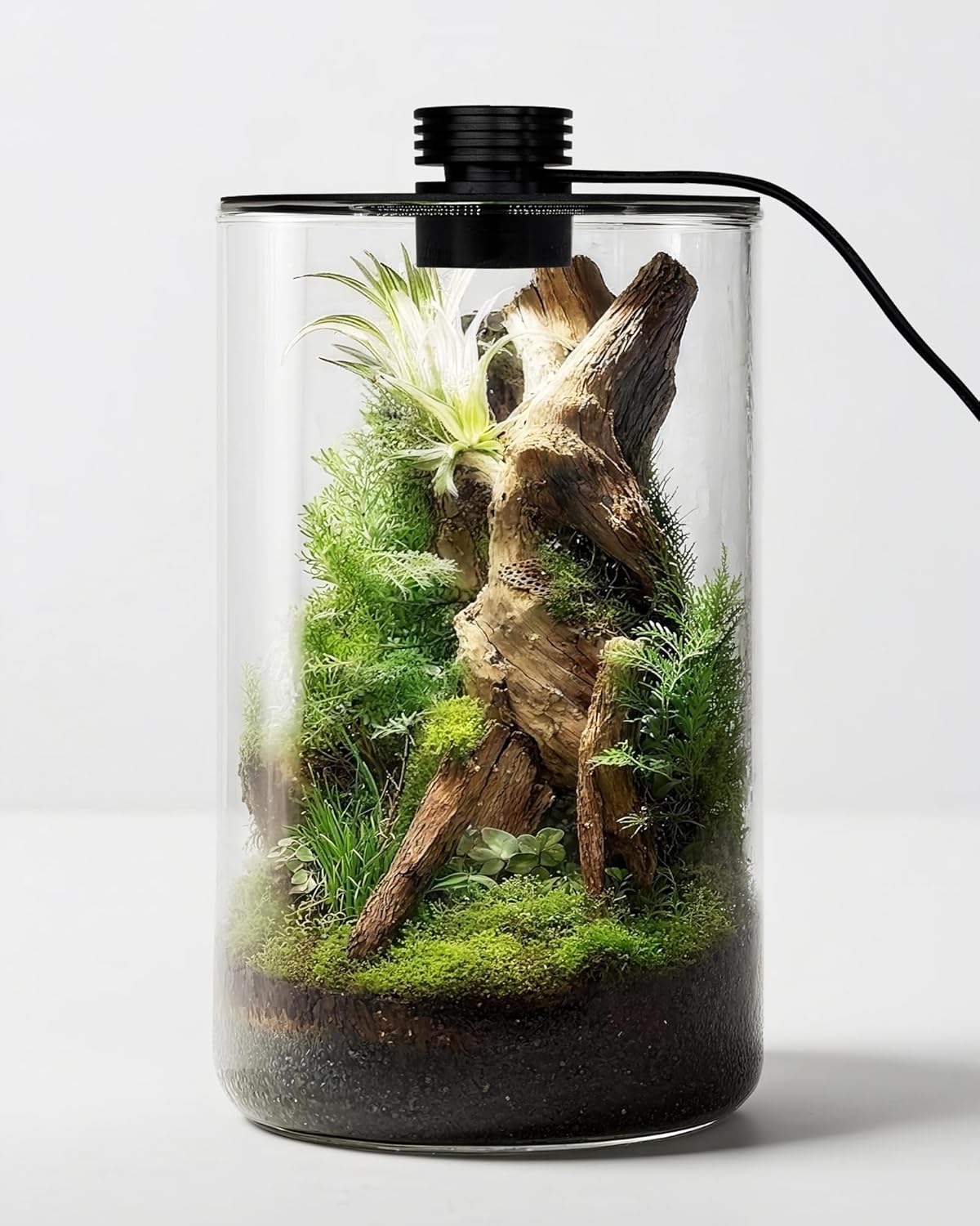 Glas-Terrarium für Innenräume  – Betta Fish Tank Bewertung und Preis
