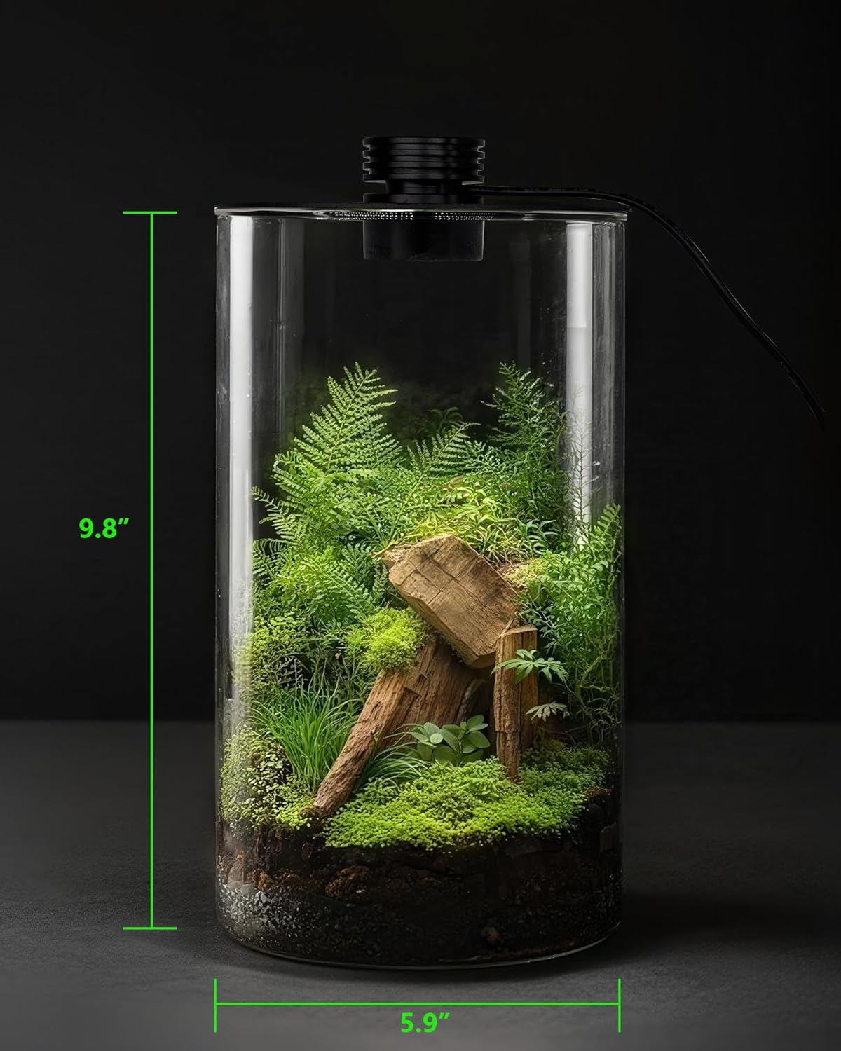 Glas-Terrarium für Innenräume  – Betta Fish Tank Bewertung und Preis
