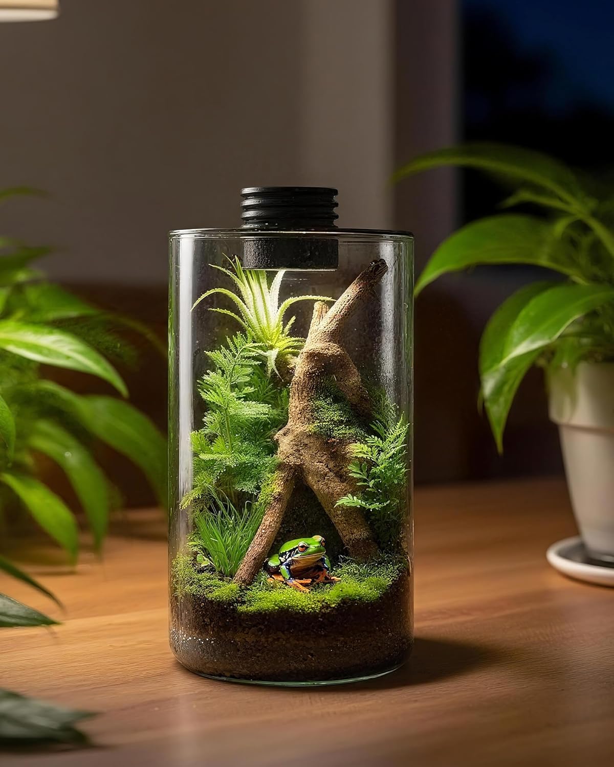 Glas-Terrarium für Innenräume  – Betta Fish Tank Bewertung und Preis