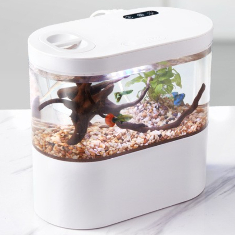 Kreatives Mini-Desktop-Aquariu – Betta Fish Tank Bewertung und Preis