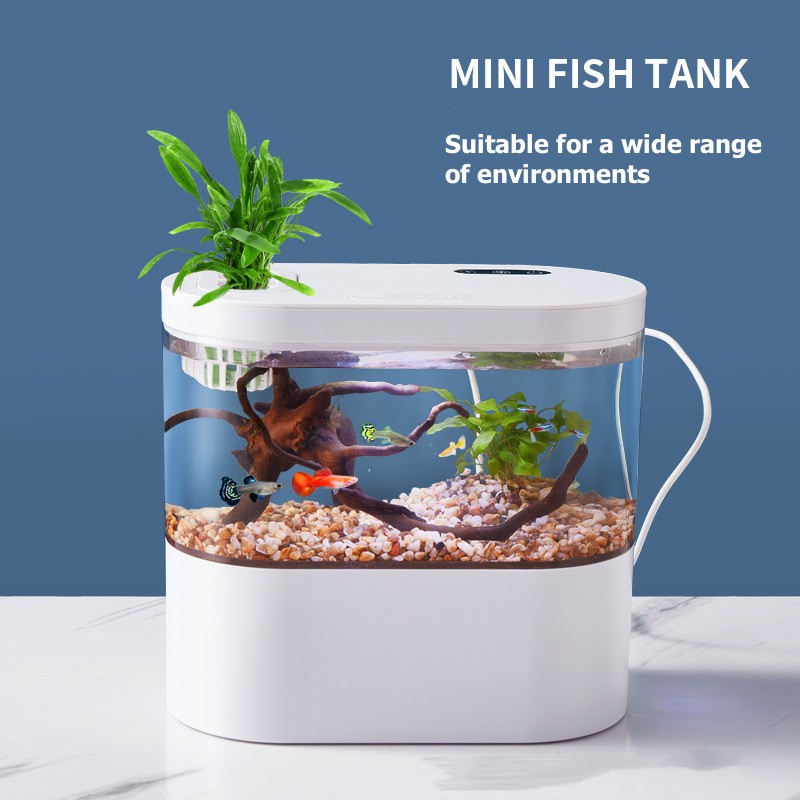 Kreatives Mini-Desktop-Aquariu – Betta Fish Tank Bewertung und Preis
