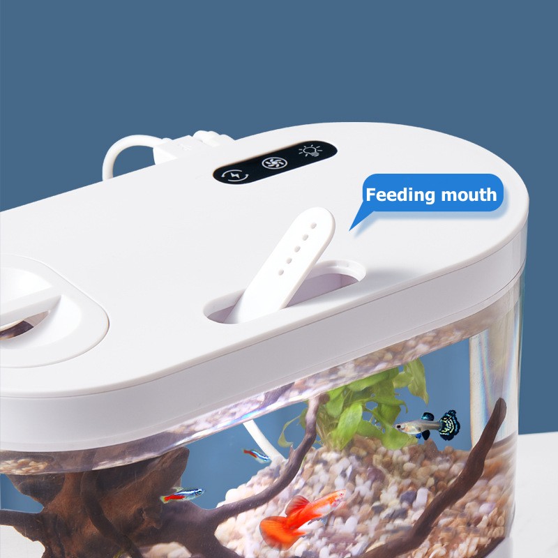 Kreatives Mini-Desktop-Aquariu – Betta Fish Tank Bewertung und Preis
